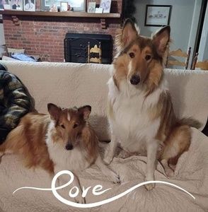 Meet your Posher, Barbara